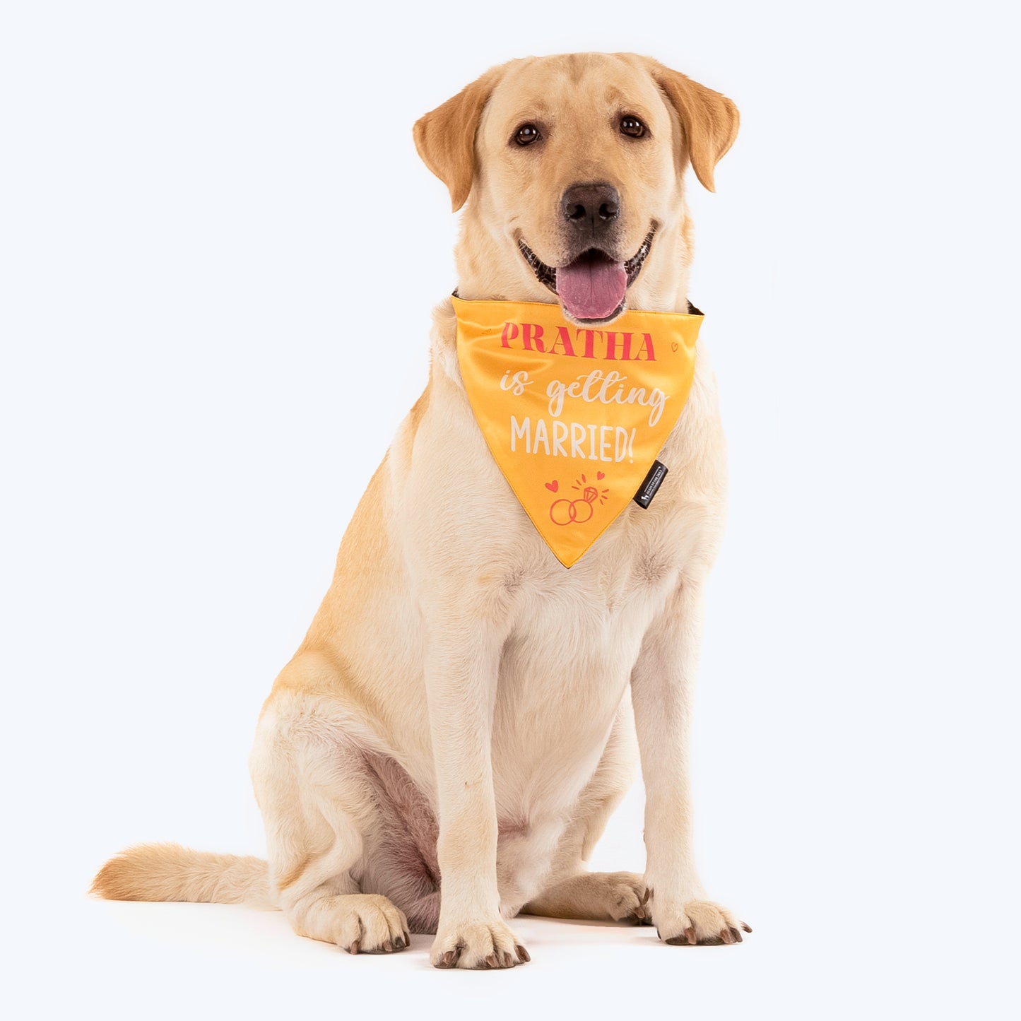 HUFT Personalised (Name) Is Getting Married Proposal Dog Bandana - Heads Up For Tails