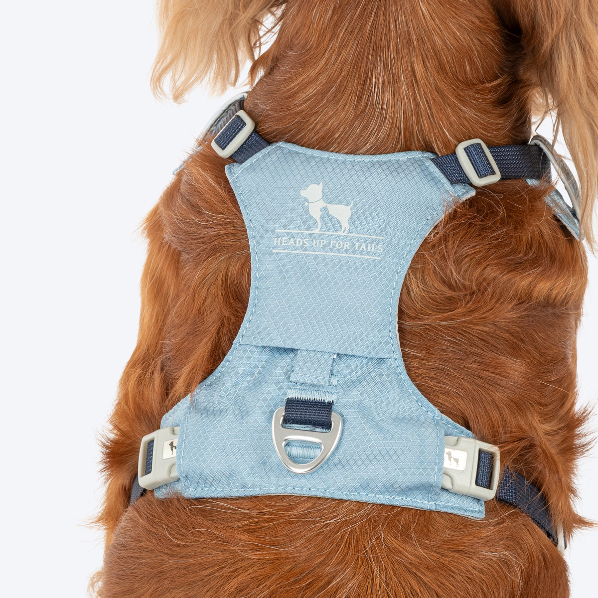 HUFT Walkmate Harness For Dog - Slate Blue - Heads Up For Tails