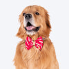 HUFT Leheriya Luxe Bowtie For Dog - Pink - L - Heads Up For Tails