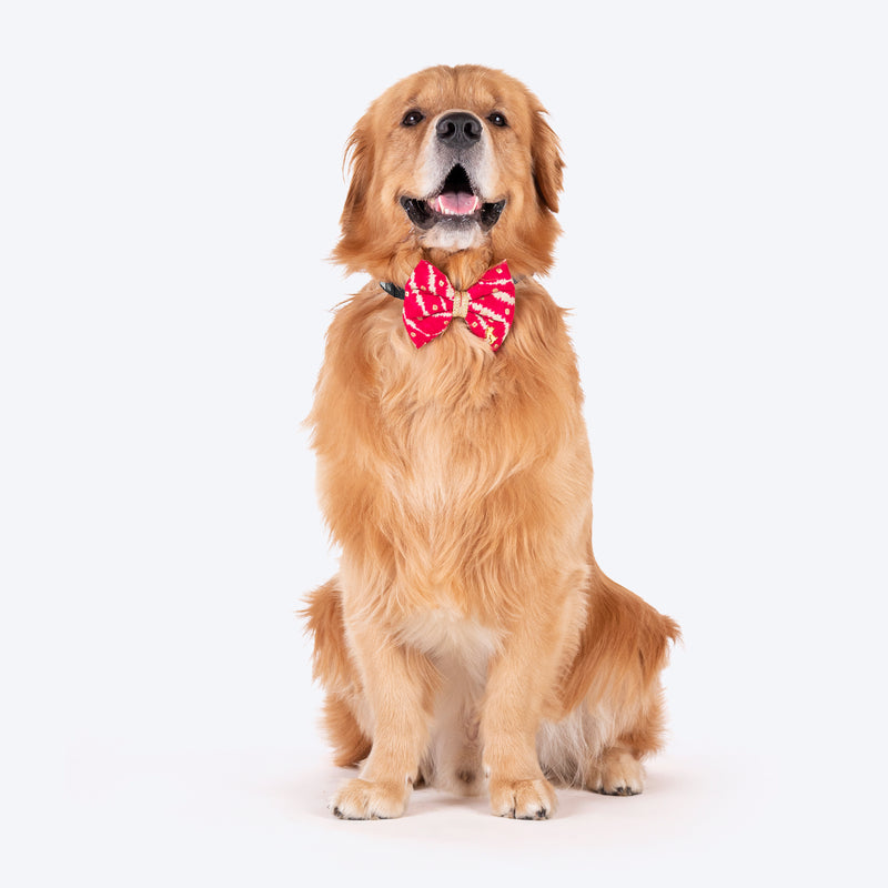 HUFT Leheriya Luxe Bowtie For Dog - Pink - L - Heads Up For Tails