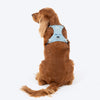 HUFT Walkmate Harness For Dog - Slate Blue - Heads Up For Tails