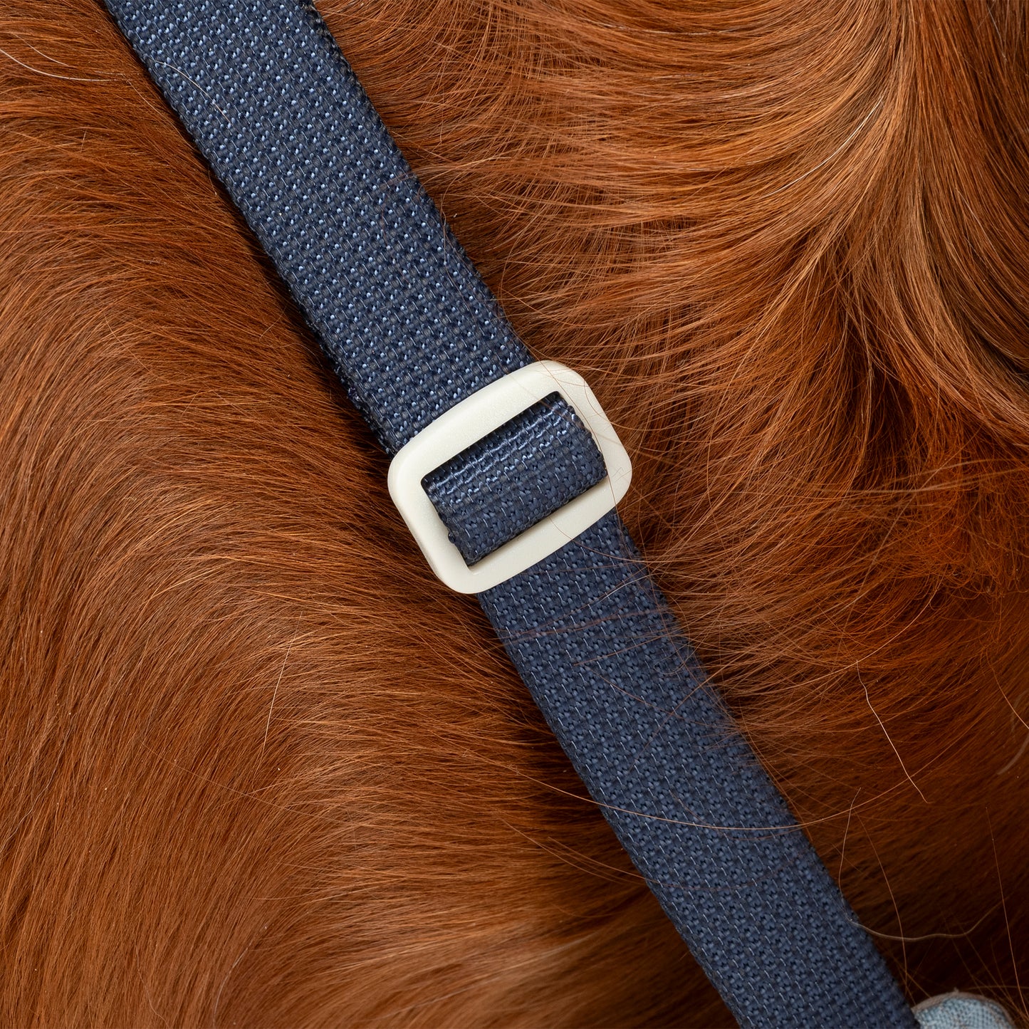 HUFT Walkmate Harness For Dog - Slate Blue