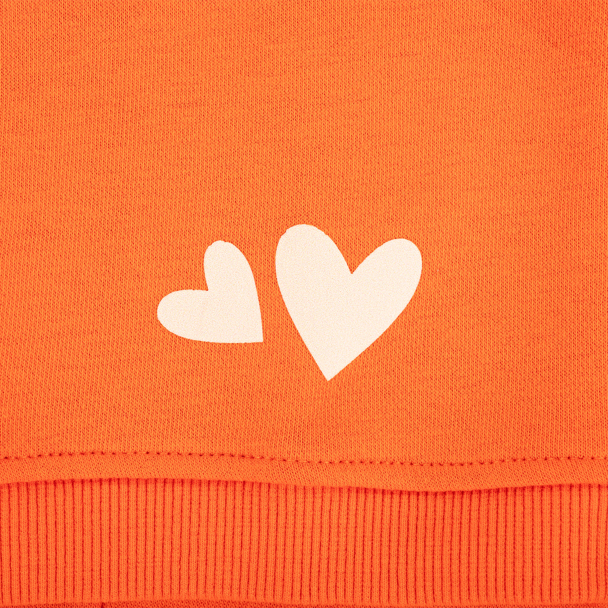HUFT Pumpkin Bear Sweatshirt For Dog - Orange