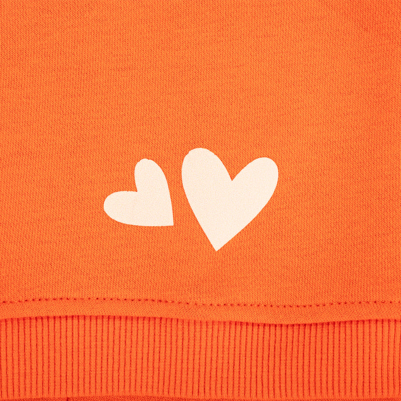 HUFT Pumpkin Bear Sweatshirt For Dog - Orange