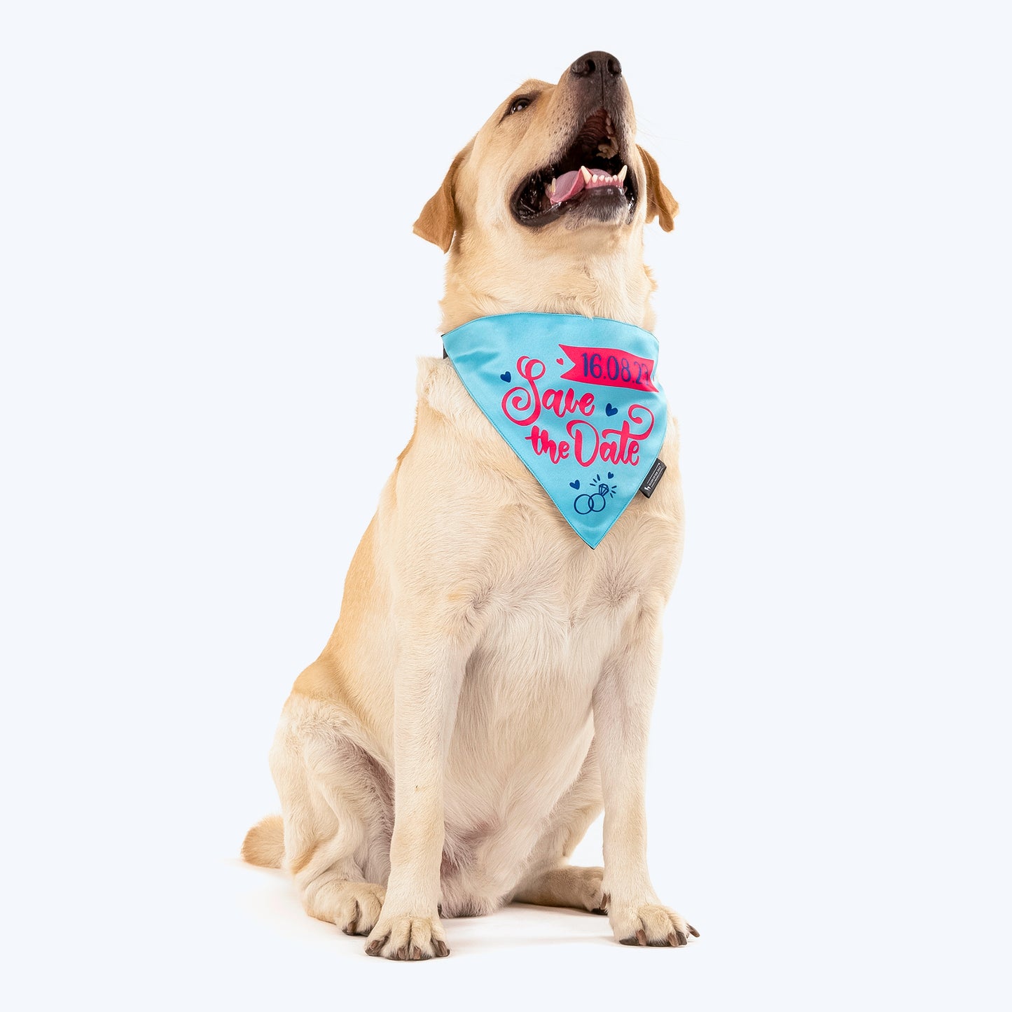 HUFT Personalised (Date) Save The Date Proposal Dog Bandana - Heads Up For Tails