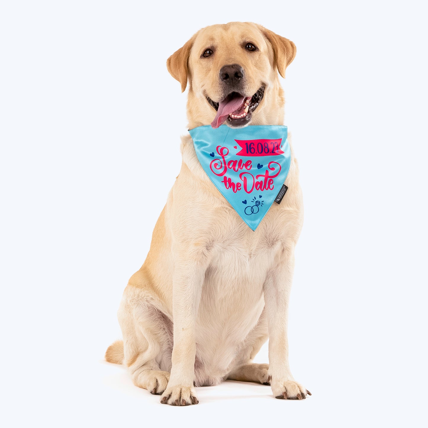 HUFT Personalised (Date) Save The Date Proposal Dog Bandana - Heads Up For Tails