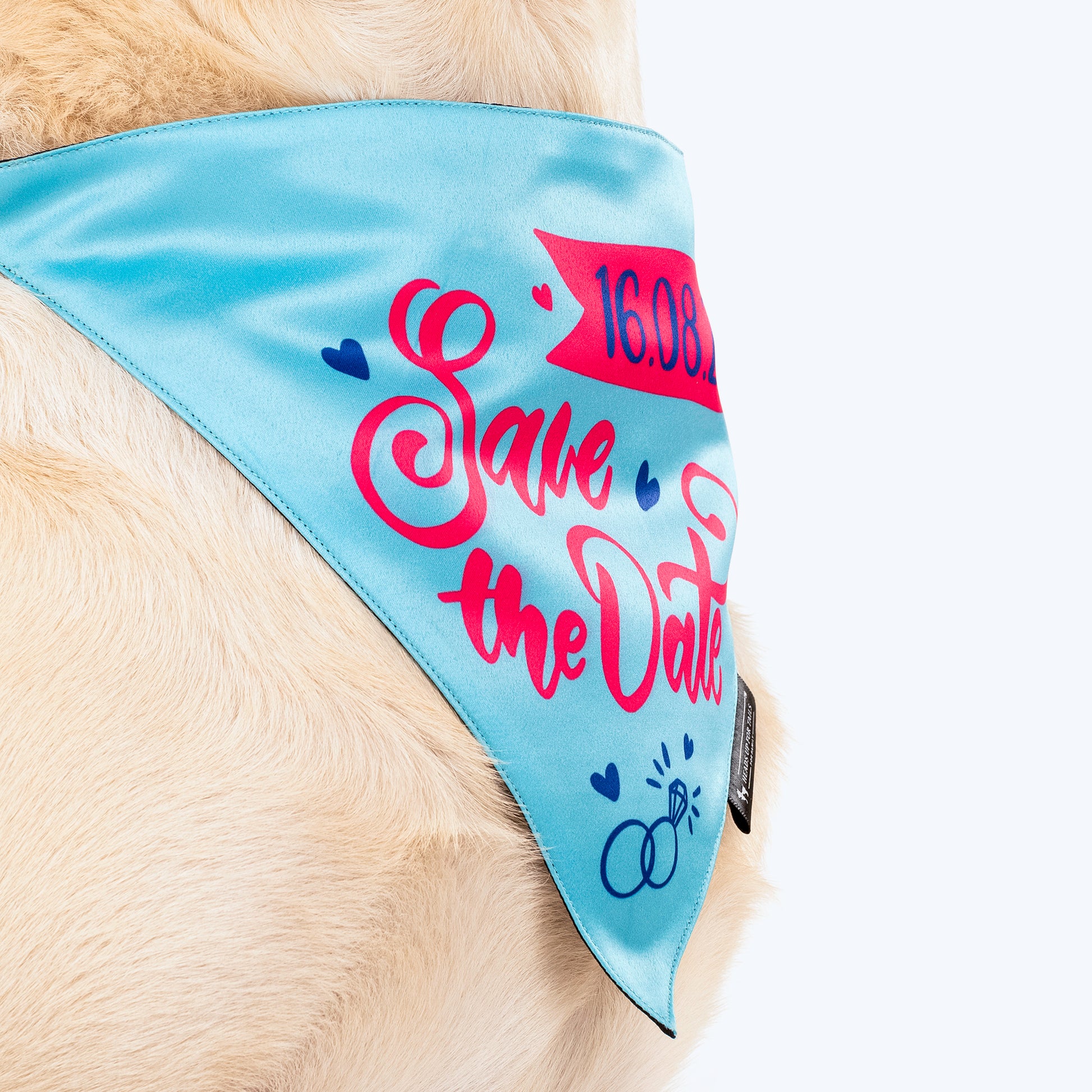 HUFT Personalised (Date) Save The Date Proposal Dog Bandana - Heads Up For Tails