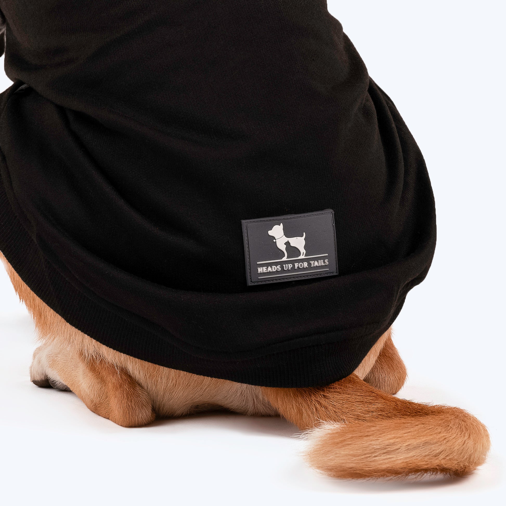 HUFT Colour Block Hoodie Sweatshirt For Pets- Black - Heads Up For Tails