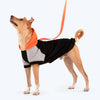 HUFT Colour Block Hoodie Sweatshirt For Pets- Black - Heads Up For Tails