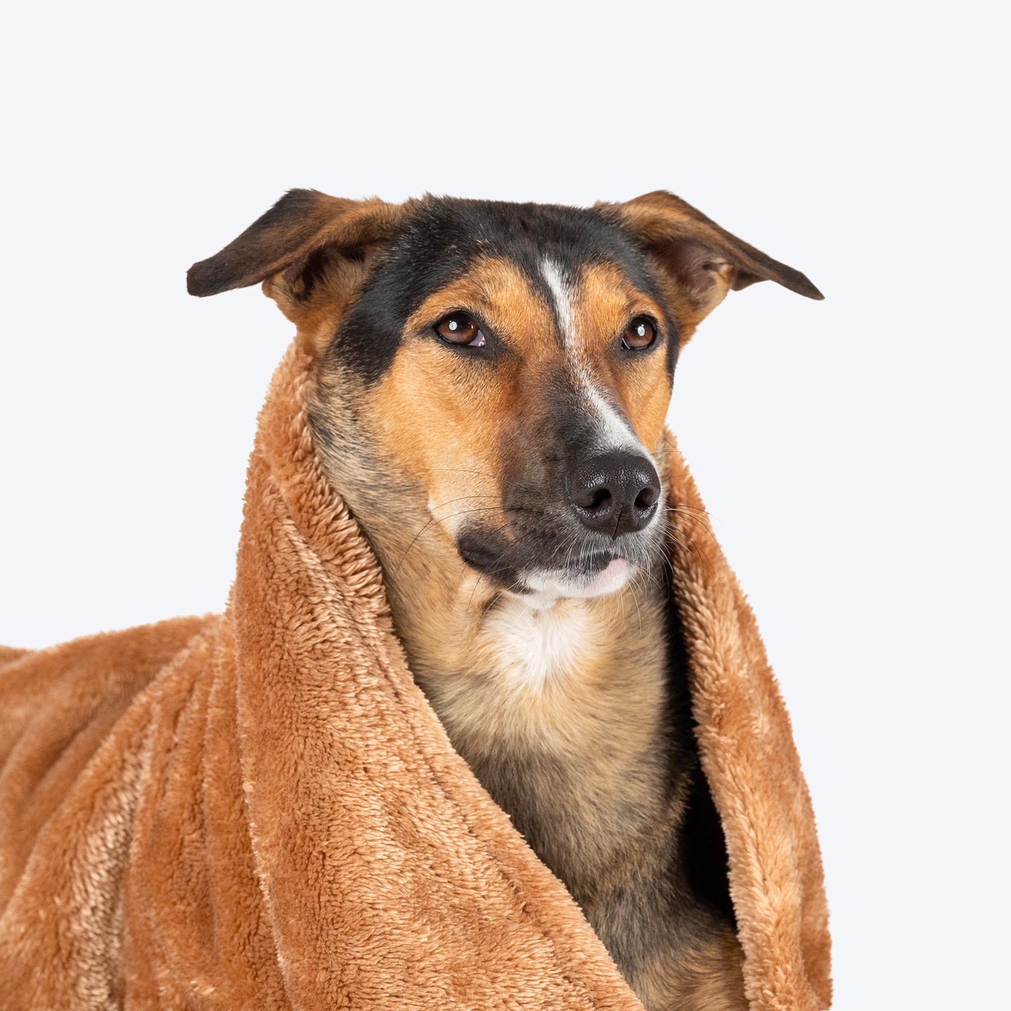 HUFT Furry Wrap Blanket For Dog & Cat - Brown