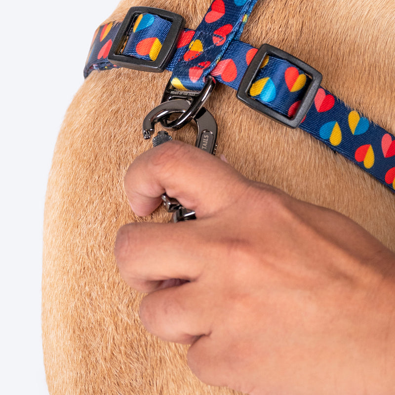 HUFT Love Struck Adjustable Harness For Dog - Navy - Heads Up For Tails