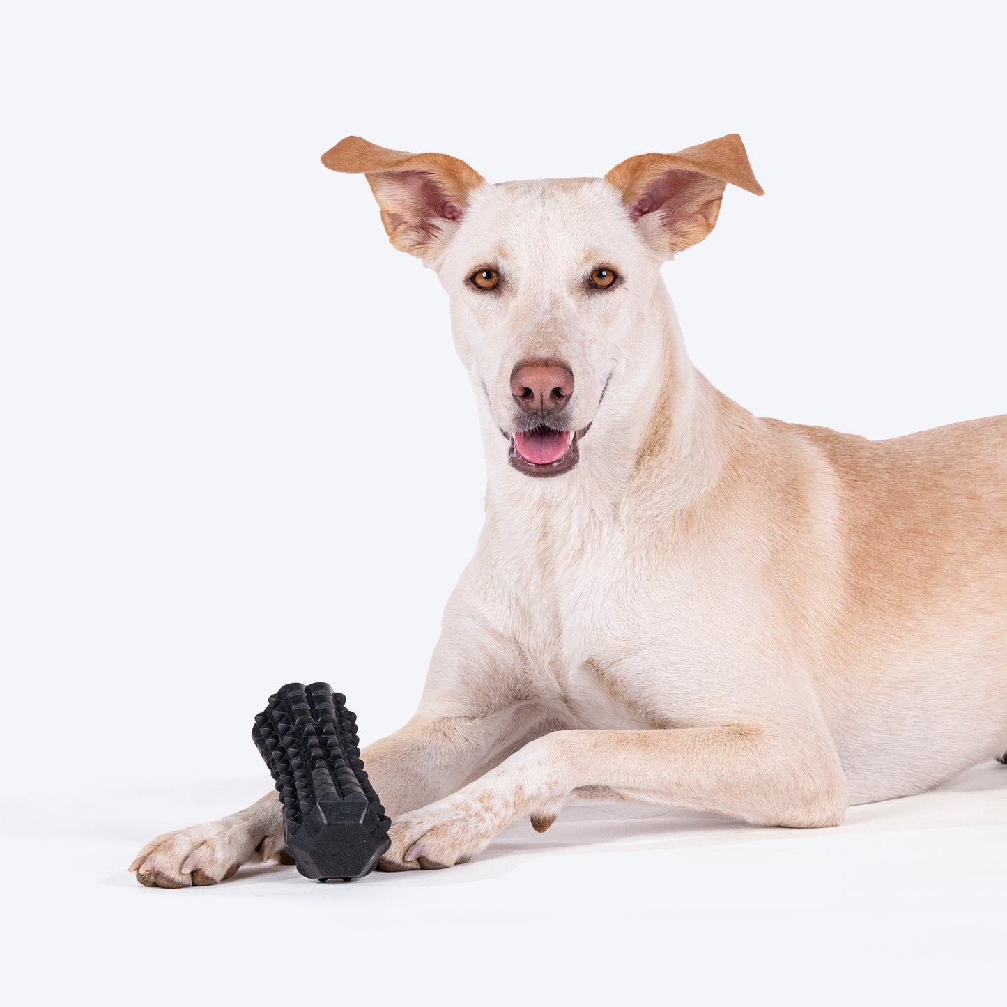 HUFT Squeak-N-Chew Toy For Dog - Black