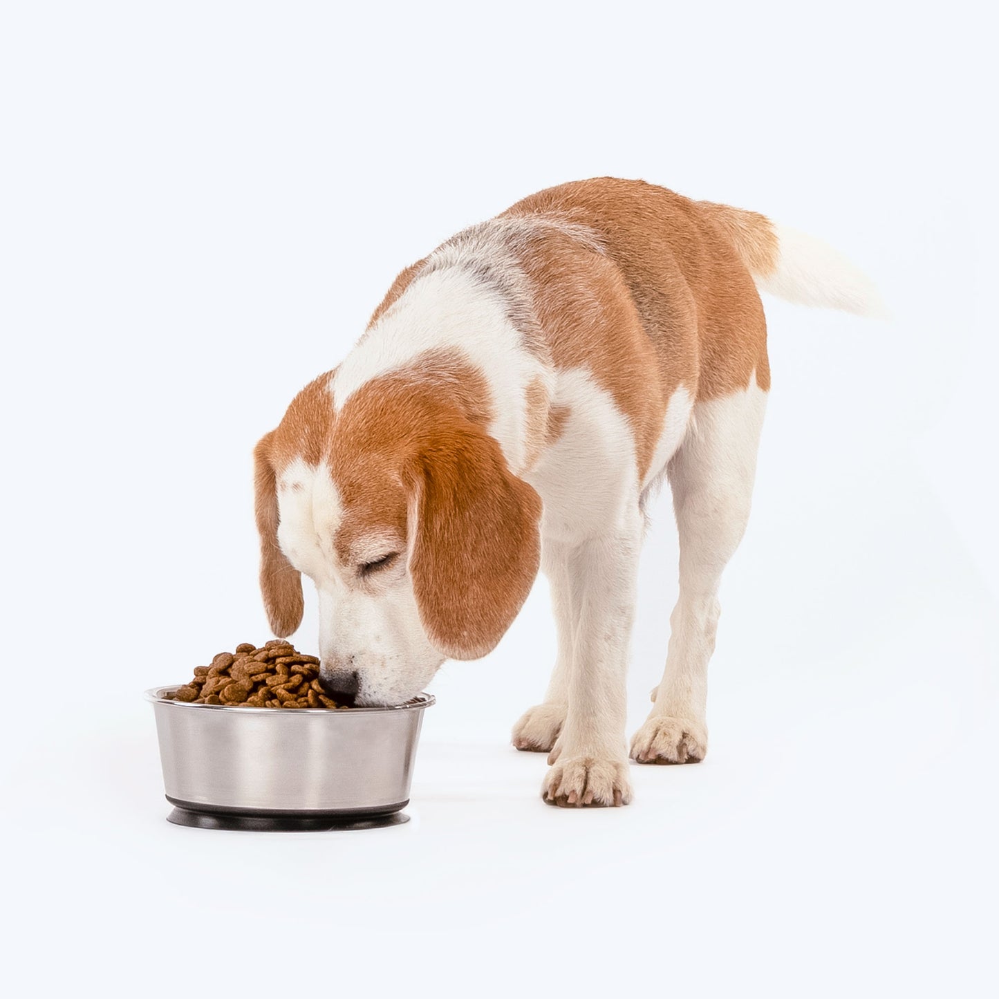 HUFT Suction Dog Bowl - Heads Up For Tails