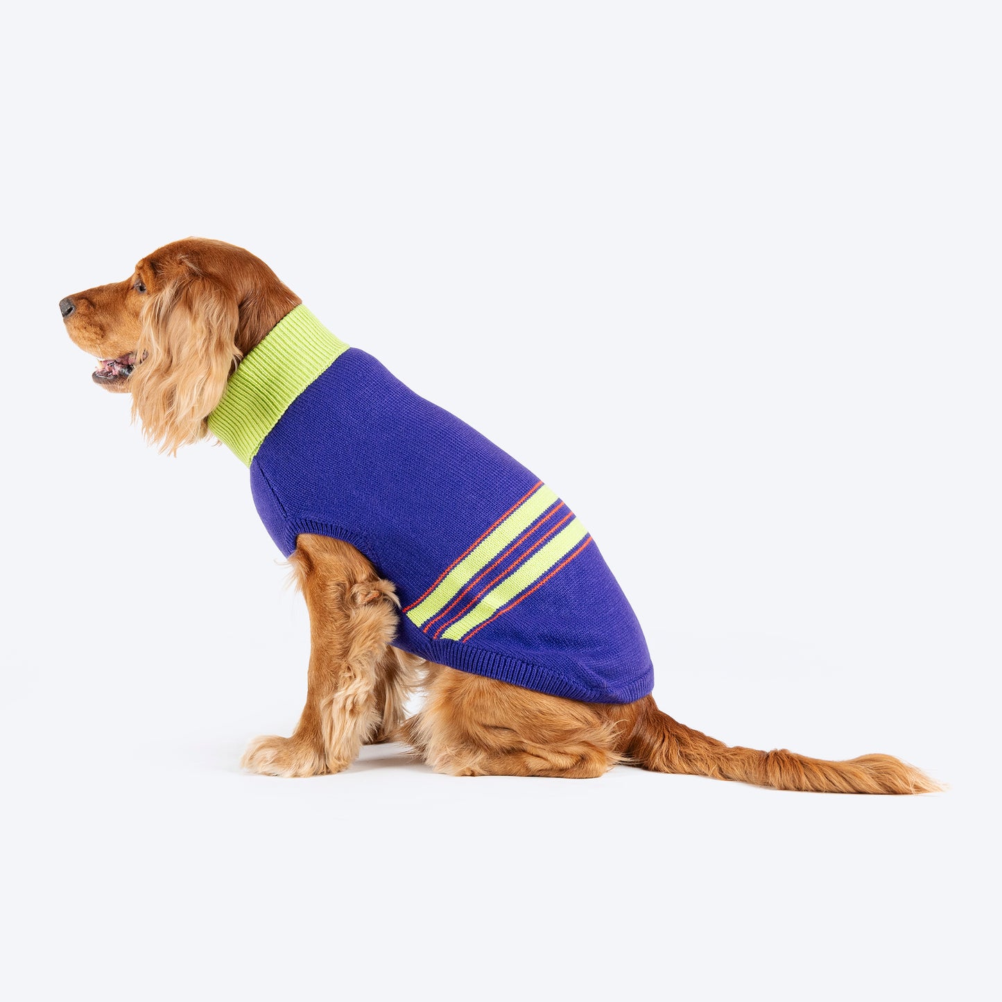 Dash Dog Winter Prism Sweater For Dog - Purple