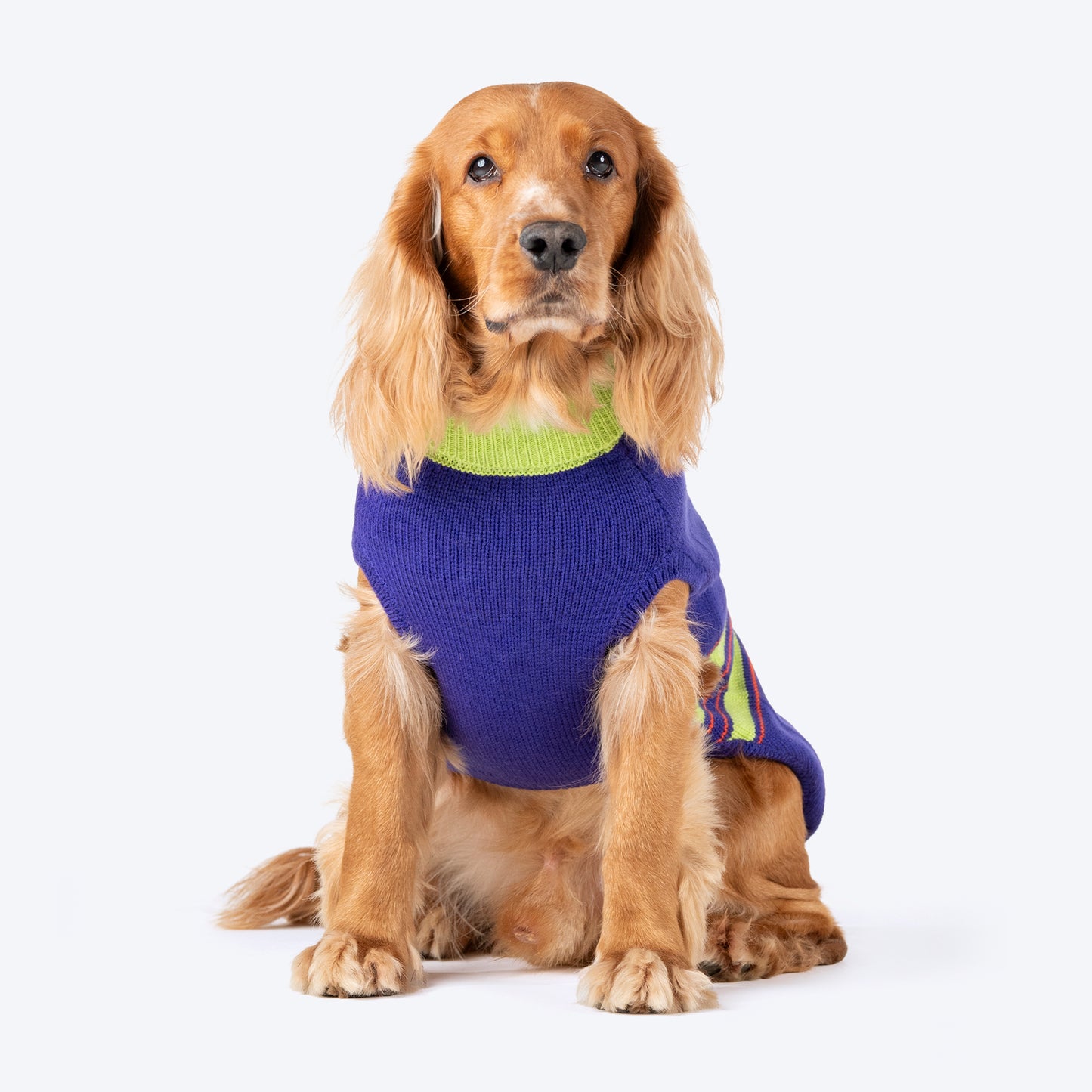 Dash Dog Winter Prism Sweater For Dog - Purple