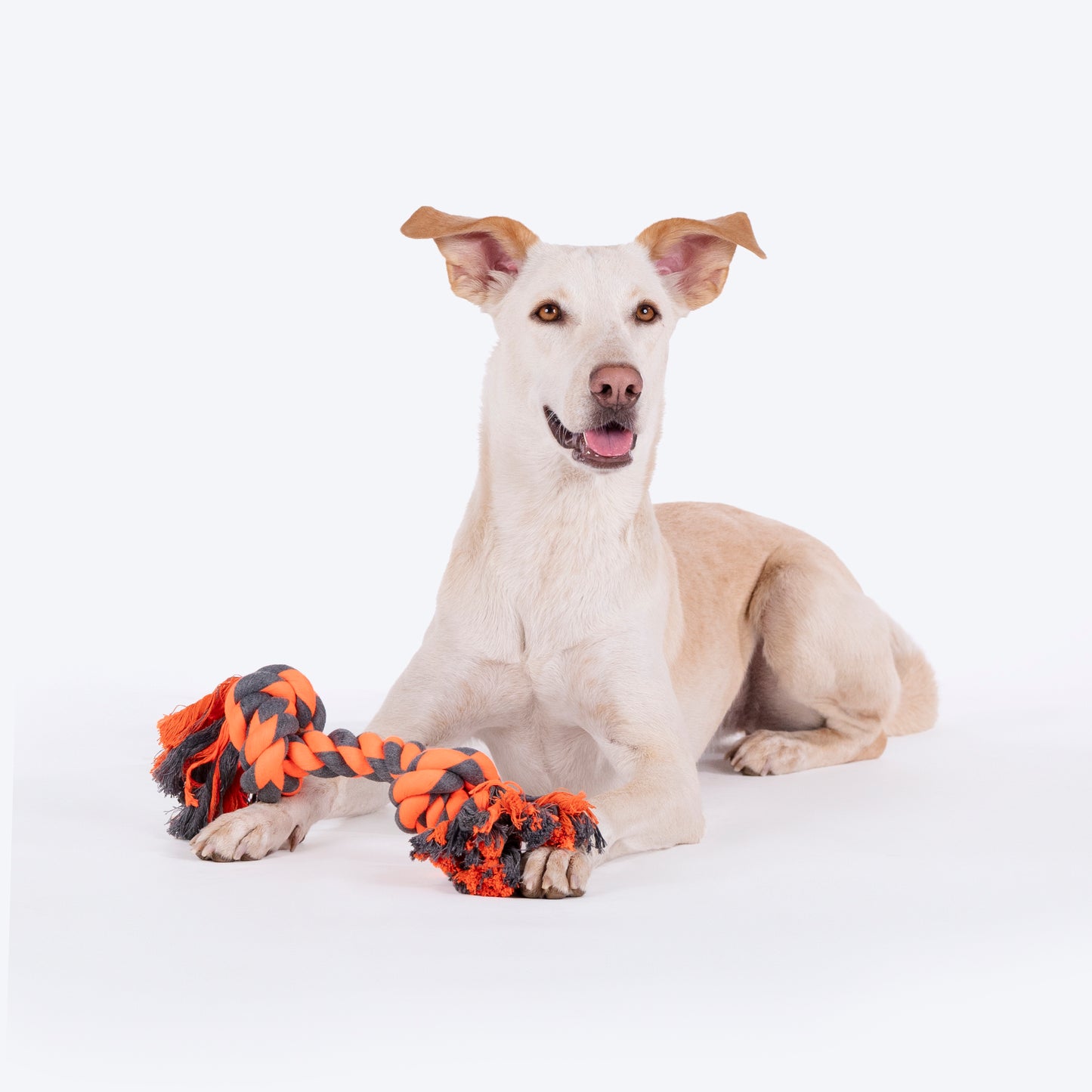 HUFT Tuggables Rope Toy For Dog - Grey & Orange - Heads Up For Tails