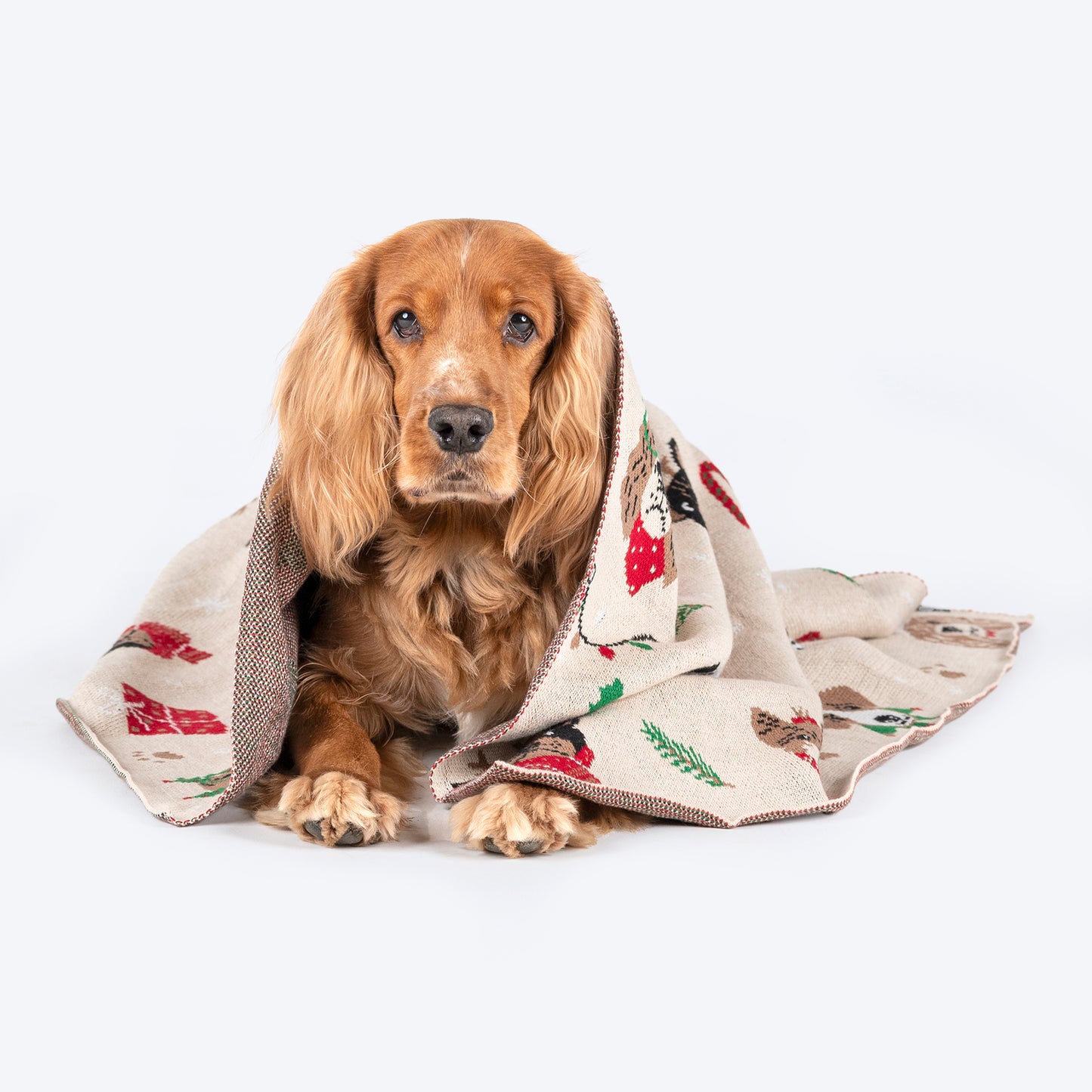 HUFT Woofy Wonderland Blanket For Dog & Cat - Beige