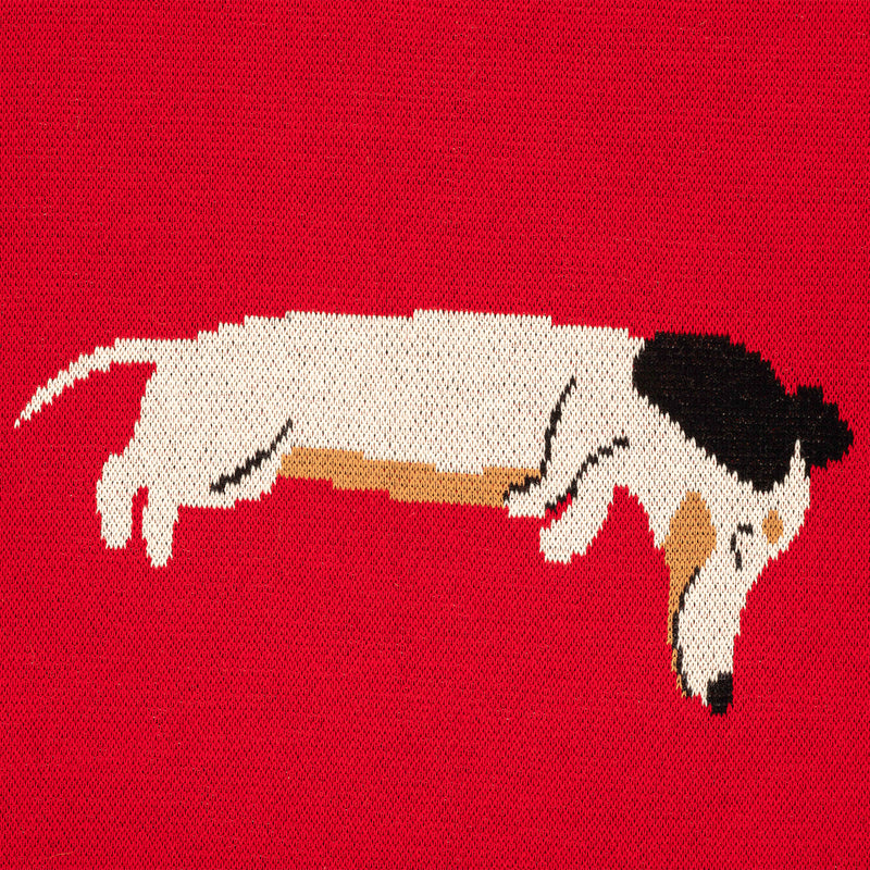 HUFT Doodle Doggo Blanket With Dog Cushion - Red