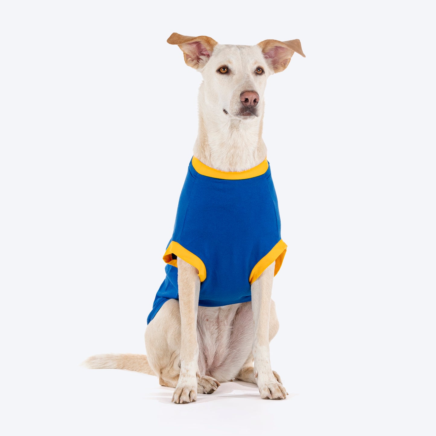 HUFT Cuddle Bug T-Shirt For Dogs - Blue - Heads Up For Tails