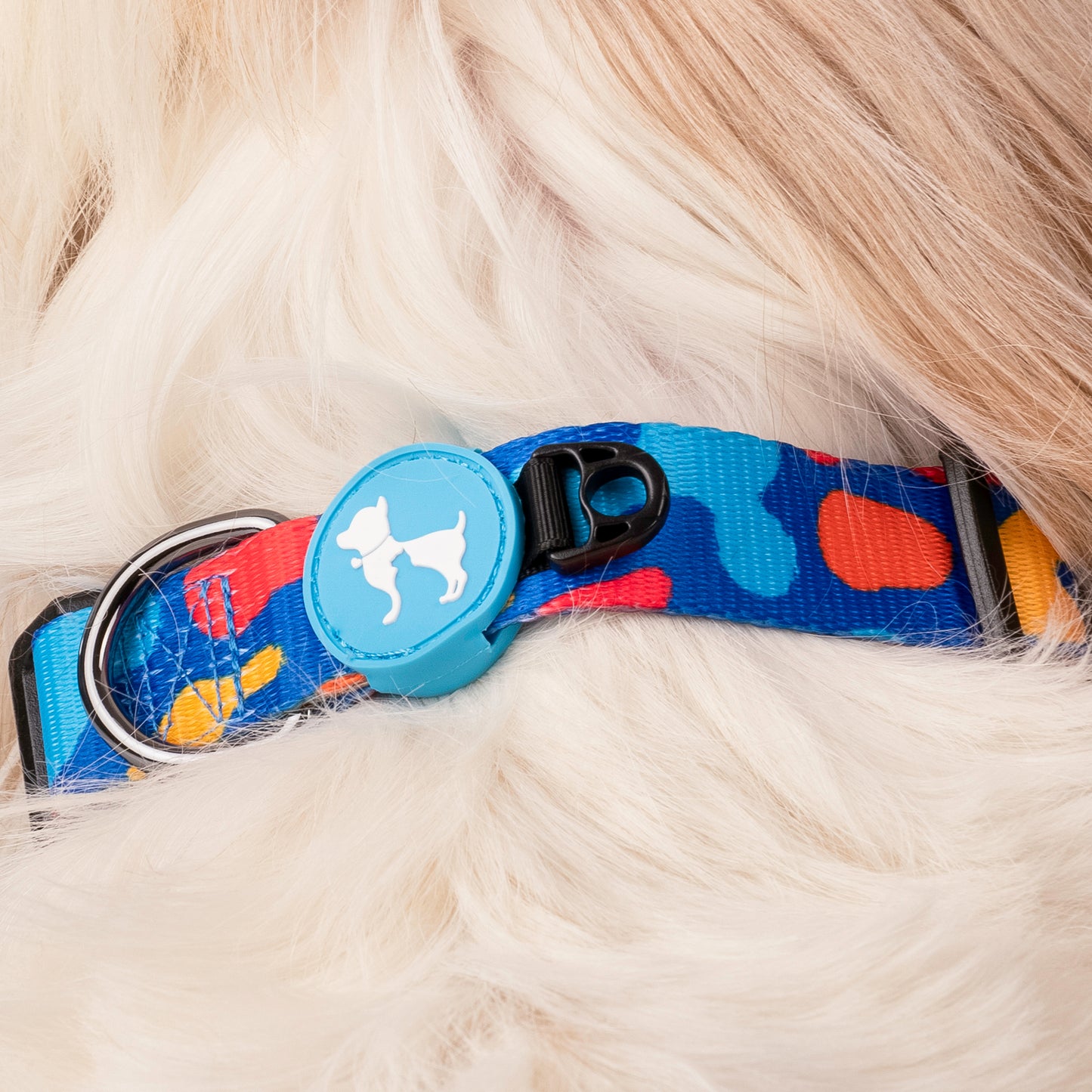 HUFT Colour Craze Printed Dog Collar - Heads Up For Tails