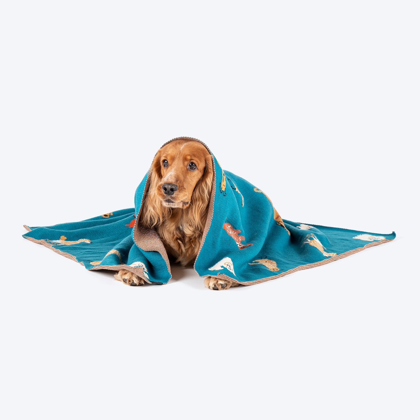 HUFT Doggie Doodles Blanket For Dog & Cat - Petrol Blue