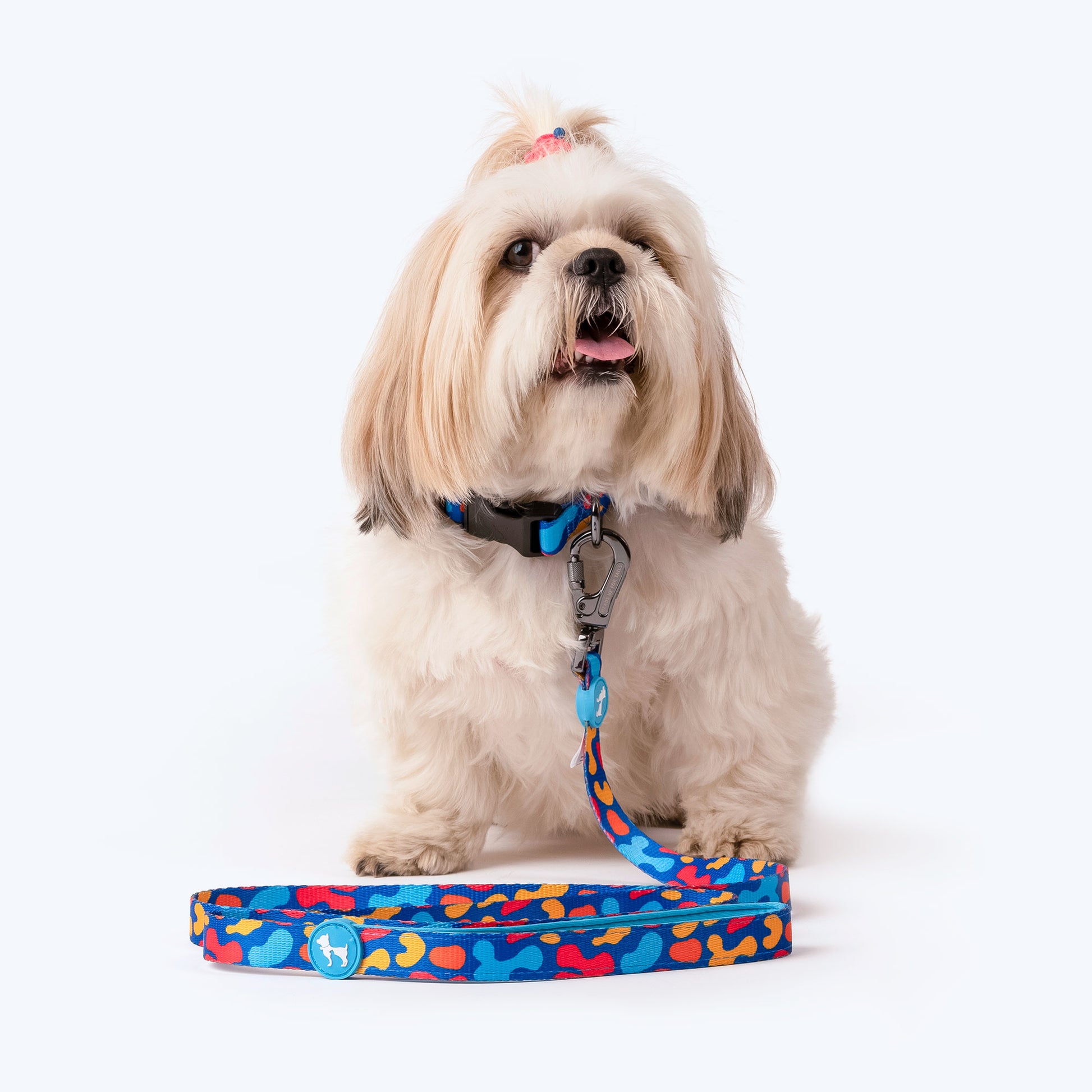 HUFT Colour Craze Printed Dog Leash - Heads Up For Tails