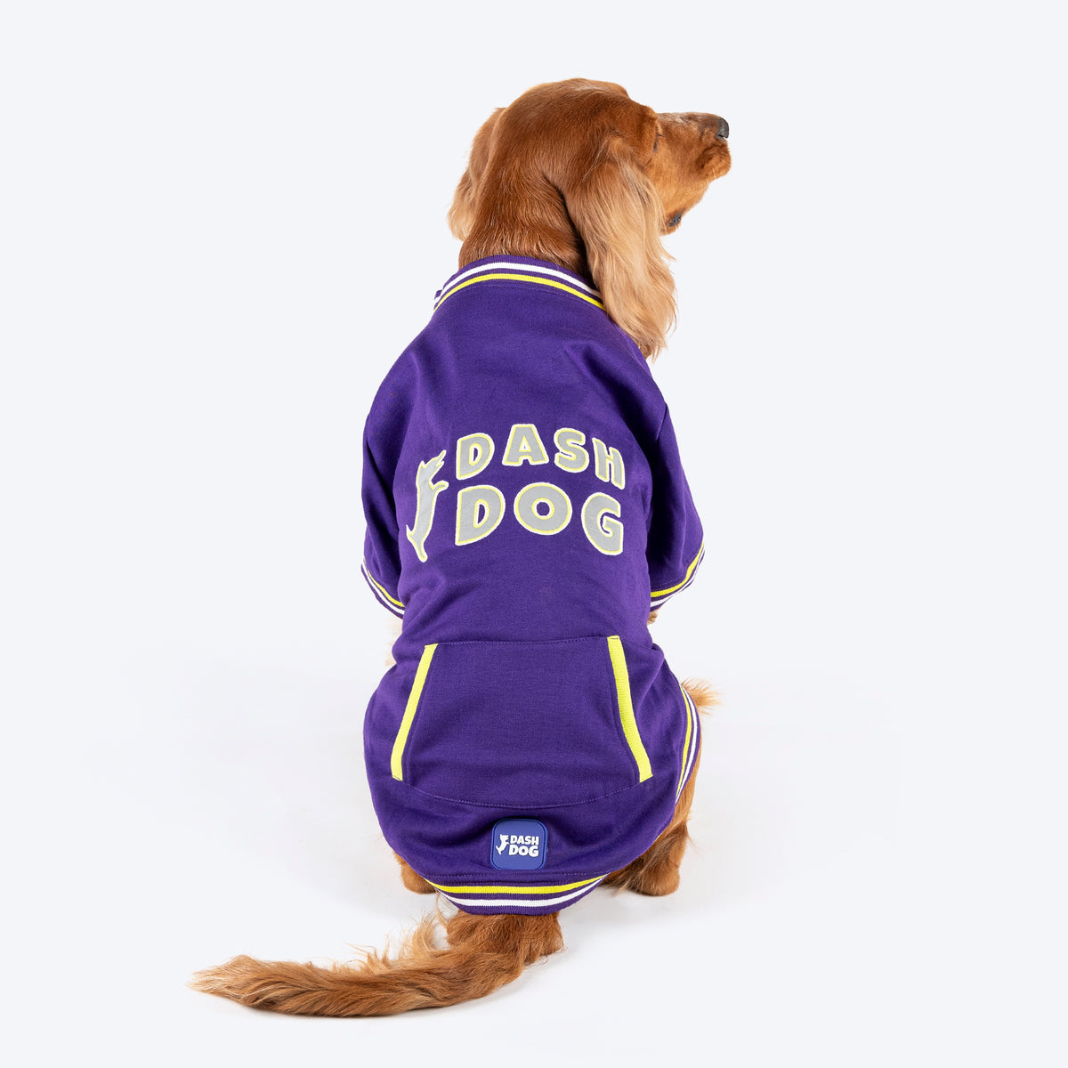 Dash Dog Trailblazer Pocket Sweatshirt For Dog - Purple, Snug Fit, Lightweight