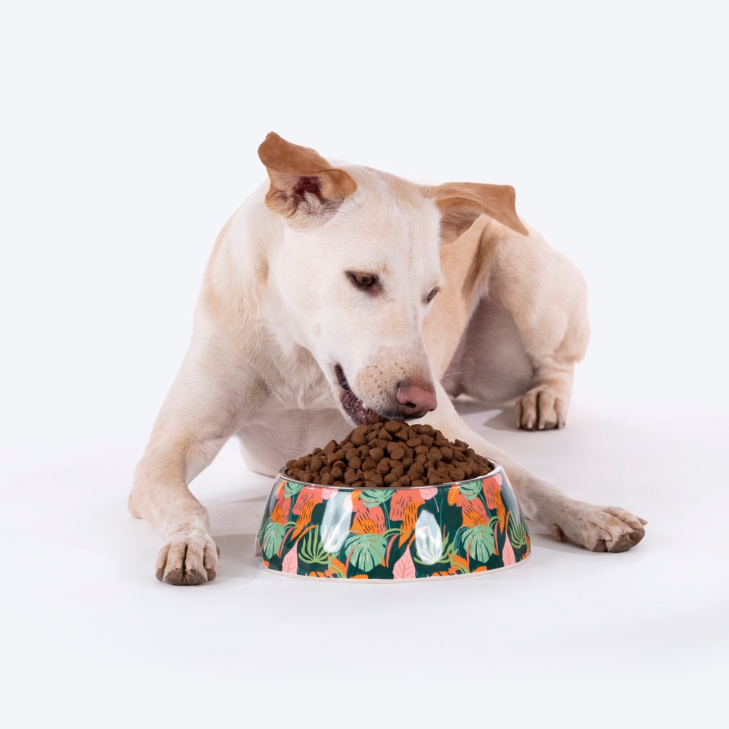 HUFT Garden of Love Printed Melamine Bowl for Dogs - Green - Heads Up For Tails