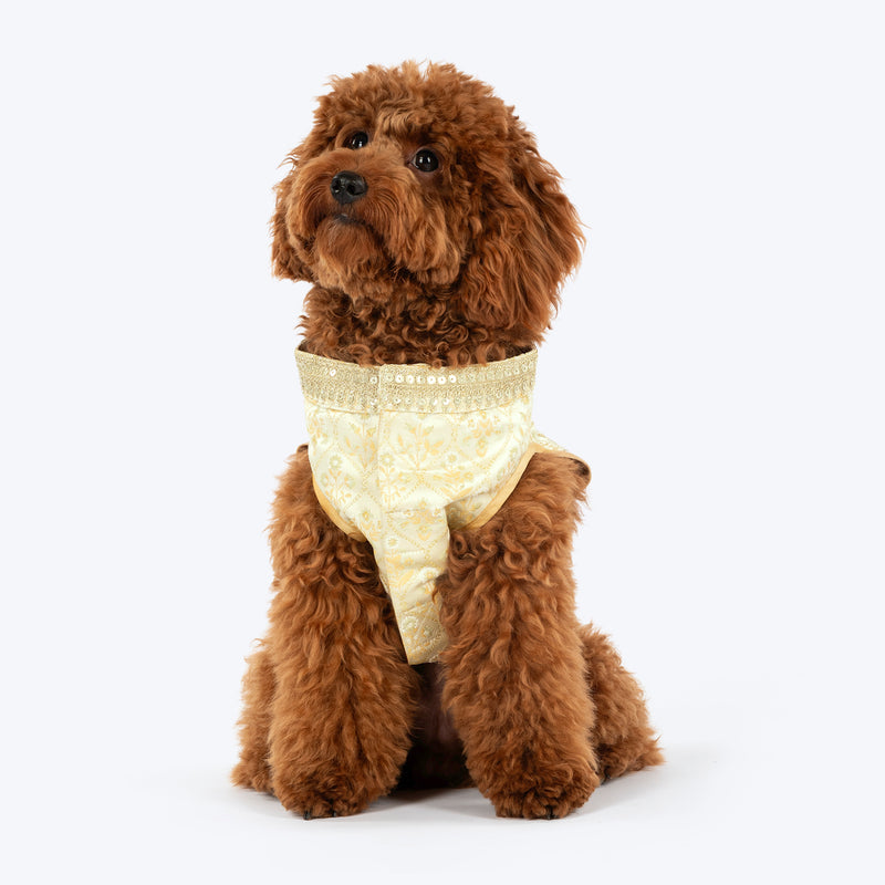 HUFT Customised Ivory Bloom Sherwani For Dog & Cat - Ivory