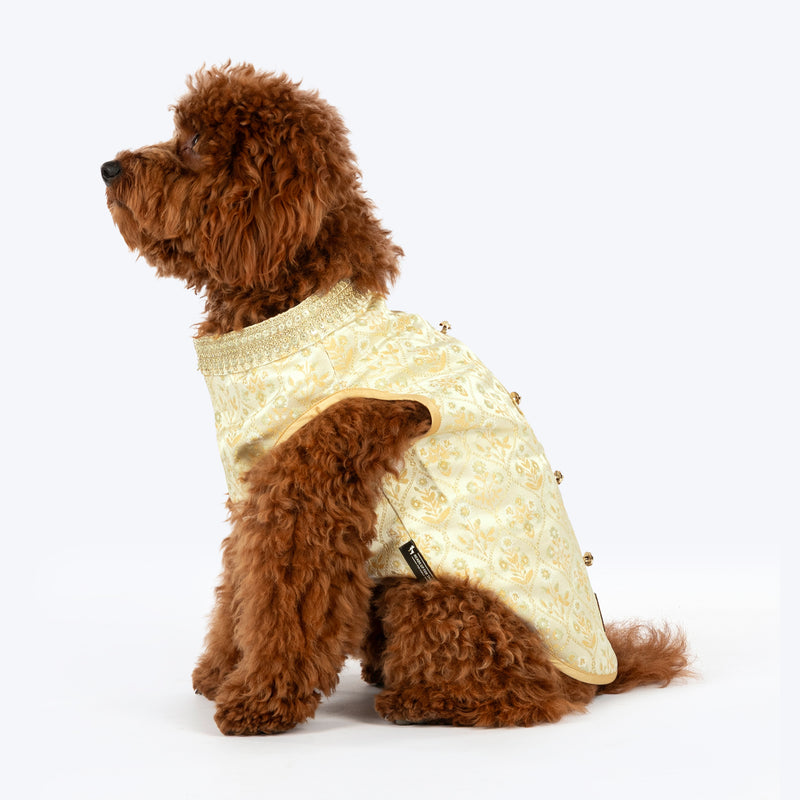 HUFT Customised Ivory Bloom Sherwani For Dog & Cat - Ivory