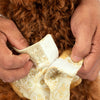 HUFT Customised Ivory Bloom Sherwani For Dog & Cat - Ivory