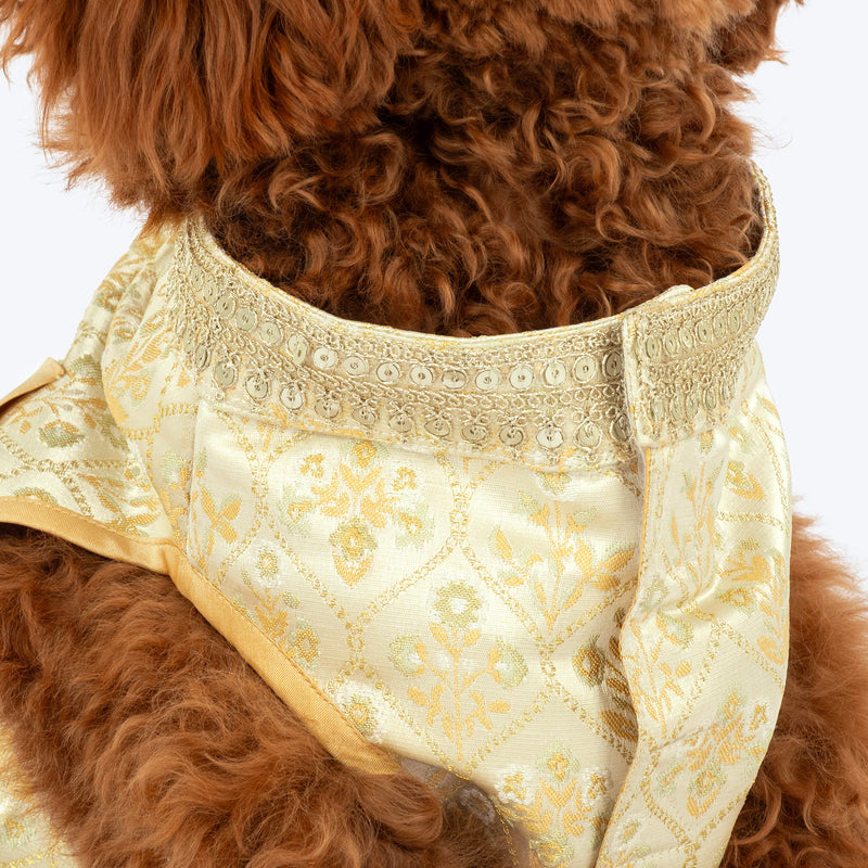 HUFT Customised Ivory Bloom Sherwani For Dog & Cat - Ivory