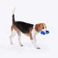 HUFT Swish-N-Chew Toy For Dog - Navy Blue