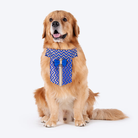 HUFT Shahi Sherwani Bandana For Dog - Royal Blue