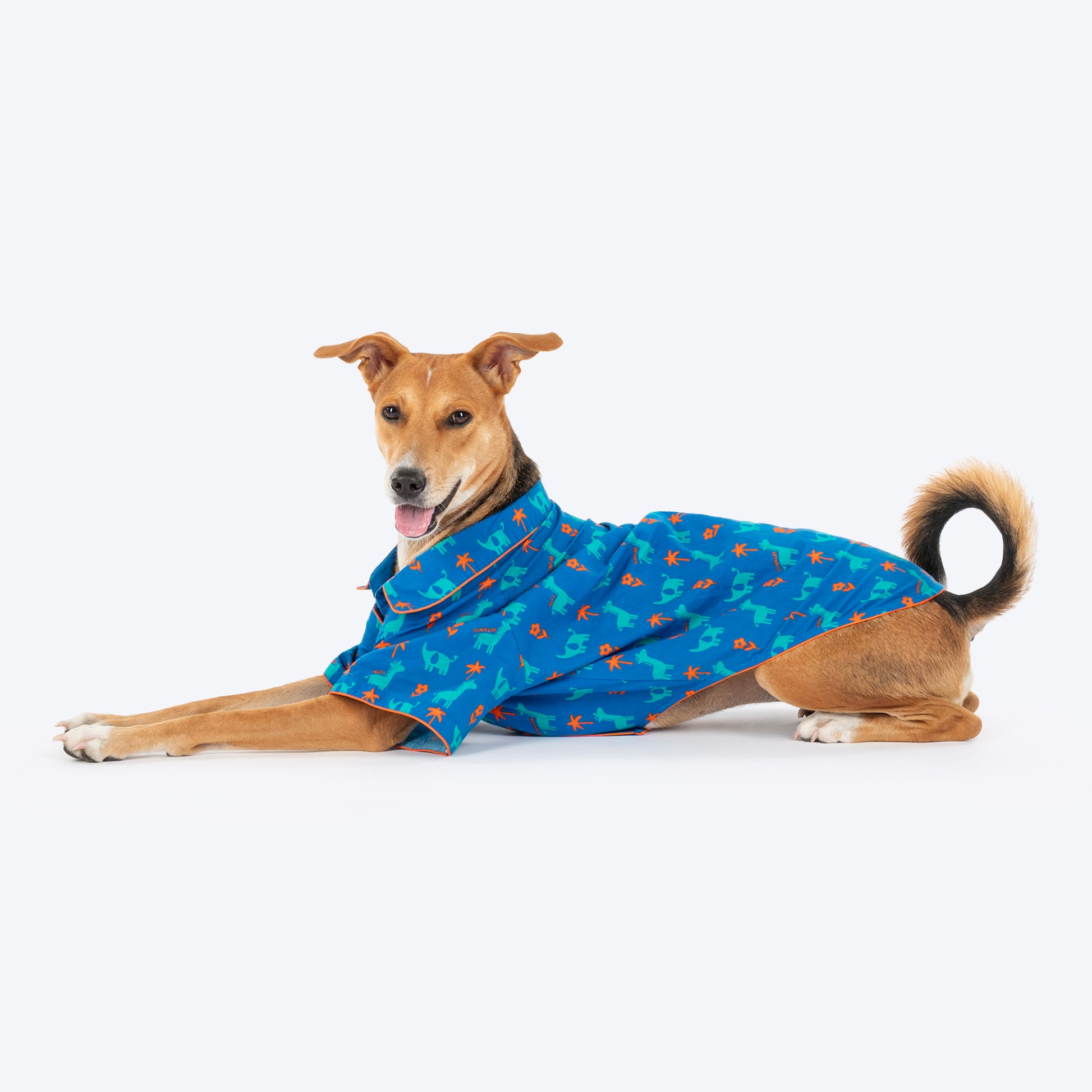 HUFT X Pinklay Jungle Joyride Shirt For Dog - Blue & Orange - Heads Up For Tails