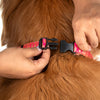 HUFT Royal Rang Bow Tie With Strap For Dog - Pink - Heads Up For Tails