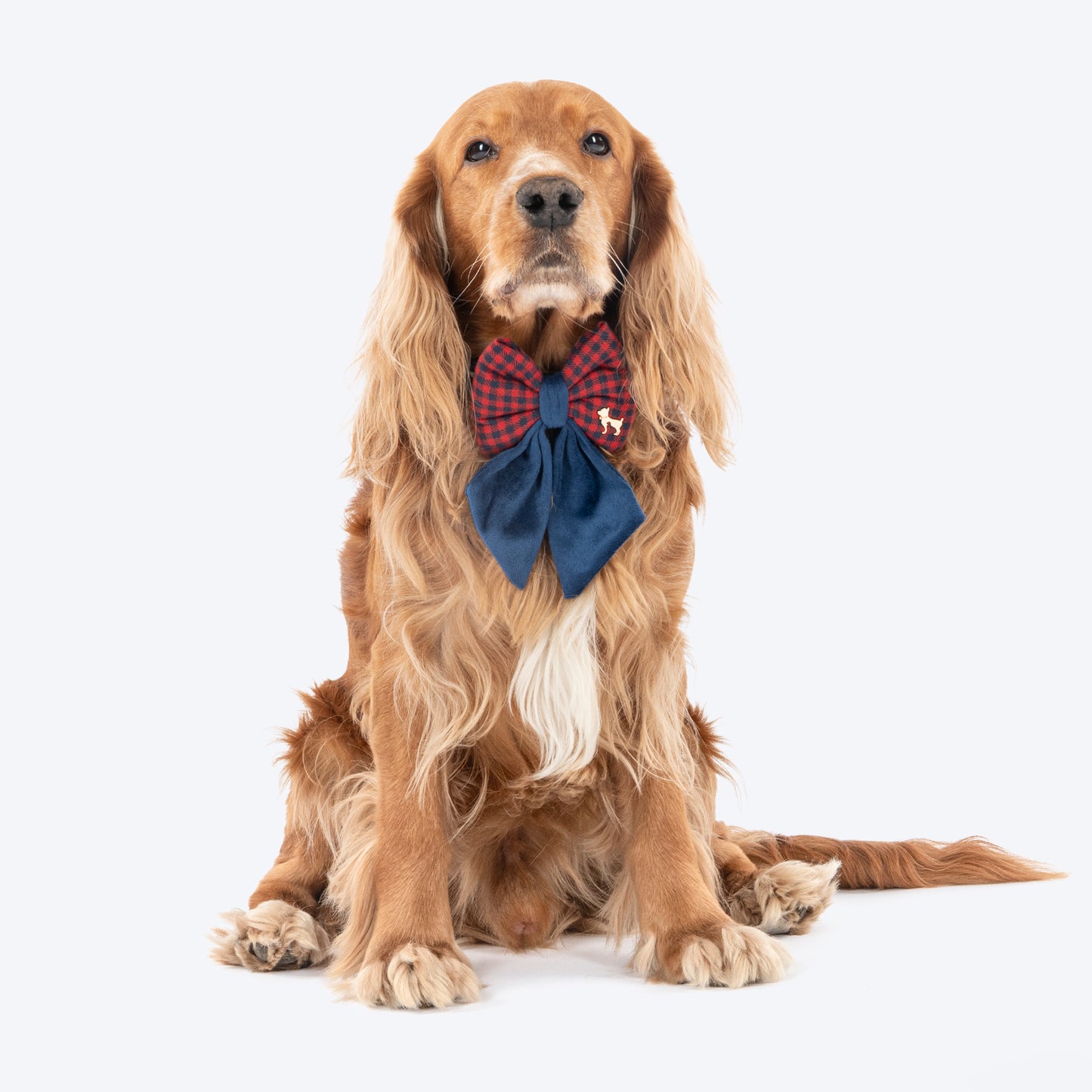 HUFT Jingle Joy Bow Tie For Dog - Red & Navy