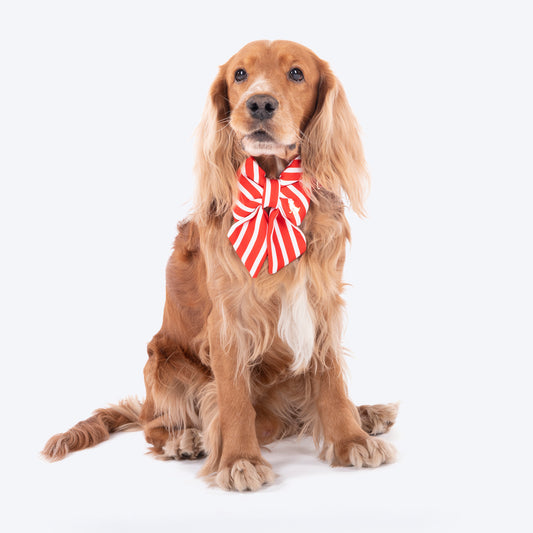 HUFT Merry Stripes Bow Tie for Dog - Red & White