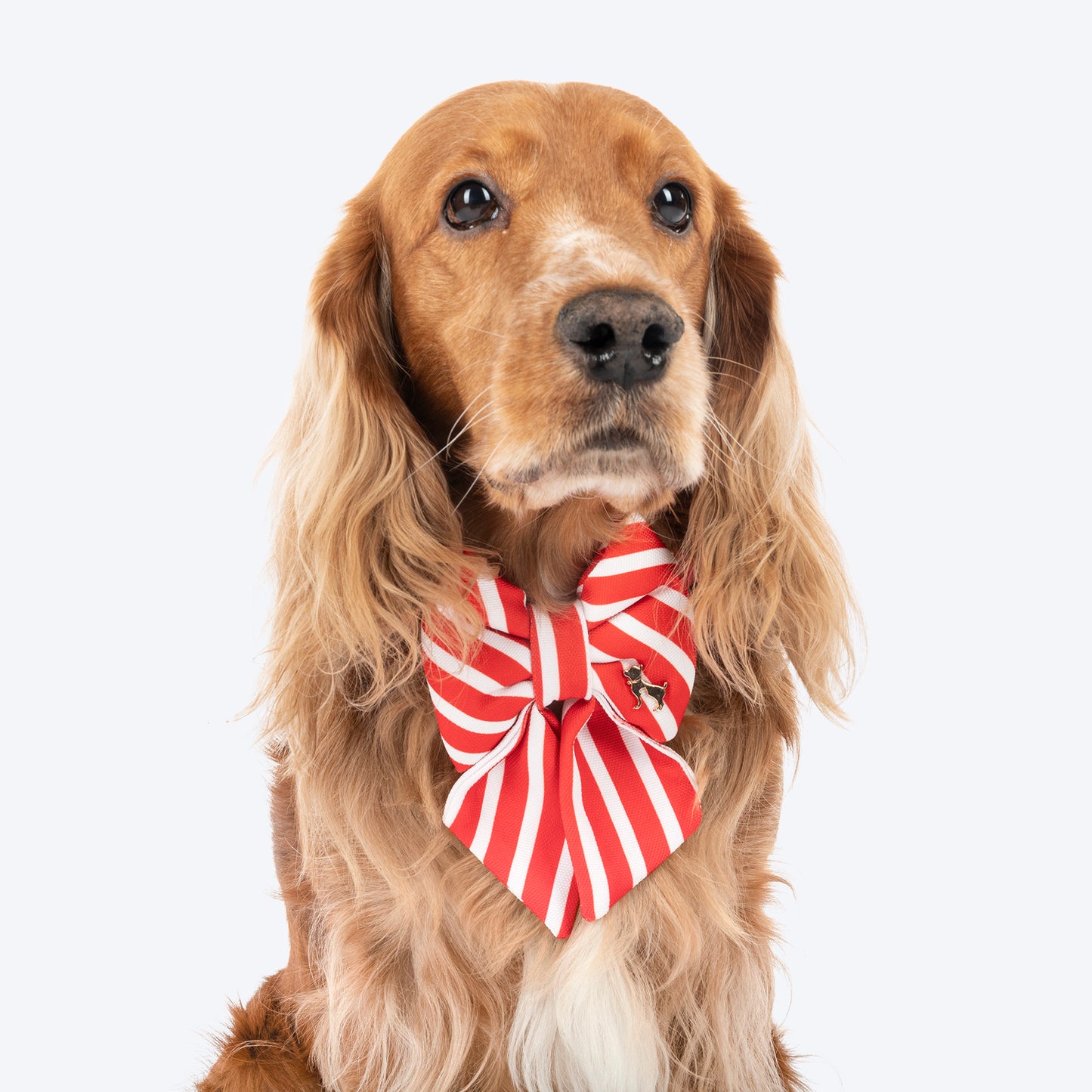 HUFT Merry Stripes Bow Tie for Dog - Red & White
