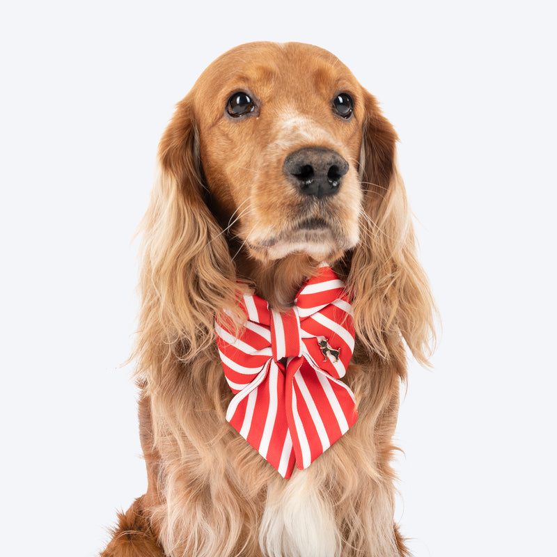 HUFT Merry Stripes Bow Tie for Dog - Red & White - Heads Up For Tails