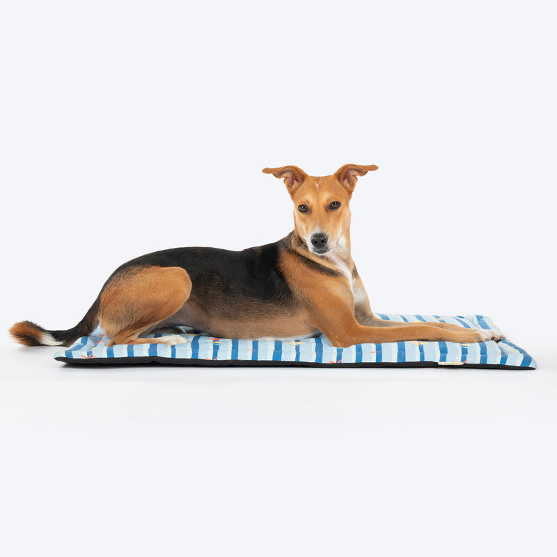 HUFT X Pinklay Strut In Stripes Mat For Dog - Blue - Heads Up For Tails