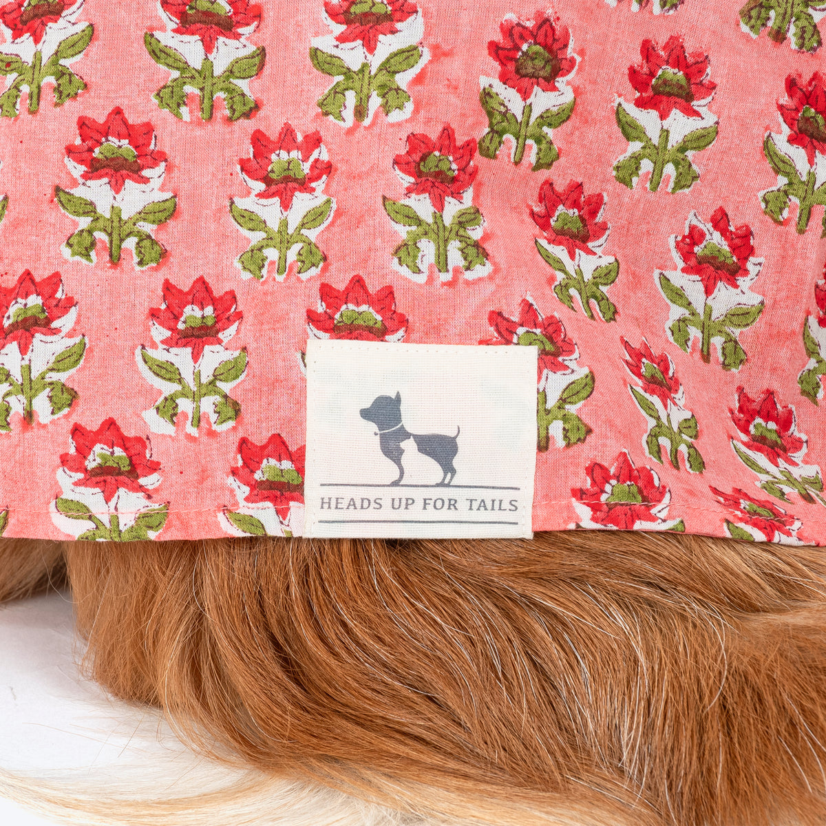 HUFT Floral Paws Kurta For Dog - Pink