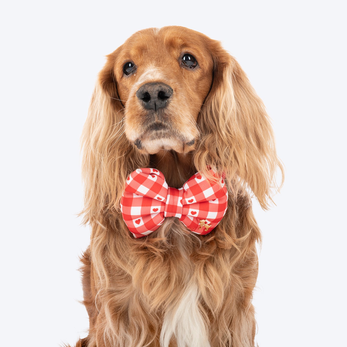 HUFT Jingle Hearts Collar With Bow Tie For Dog - Red & White