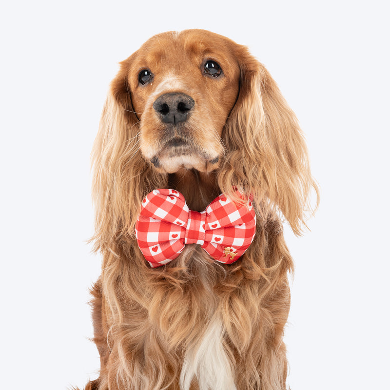 HUFT Jingle Hearts Collar With Bow Tie For Dog - Red & White - Heads Up For Tails