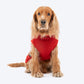 HUFT Jolly Jumper Sweater For Dog - Red - Heads Up For Tails
