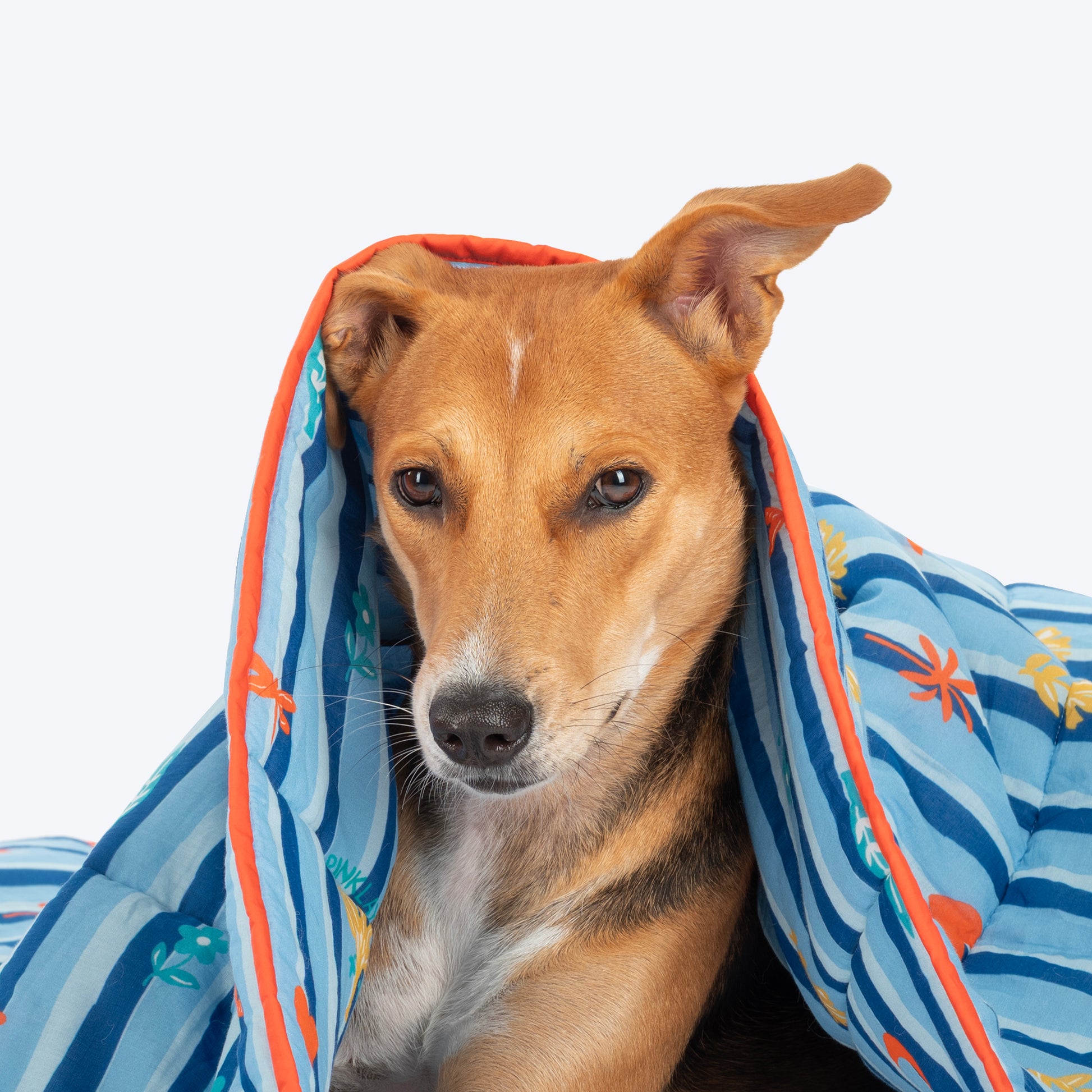 HUFT X Pinklay Strut In Stripes Blanket For Dog & Cat - Blue - Heads Up For Tails