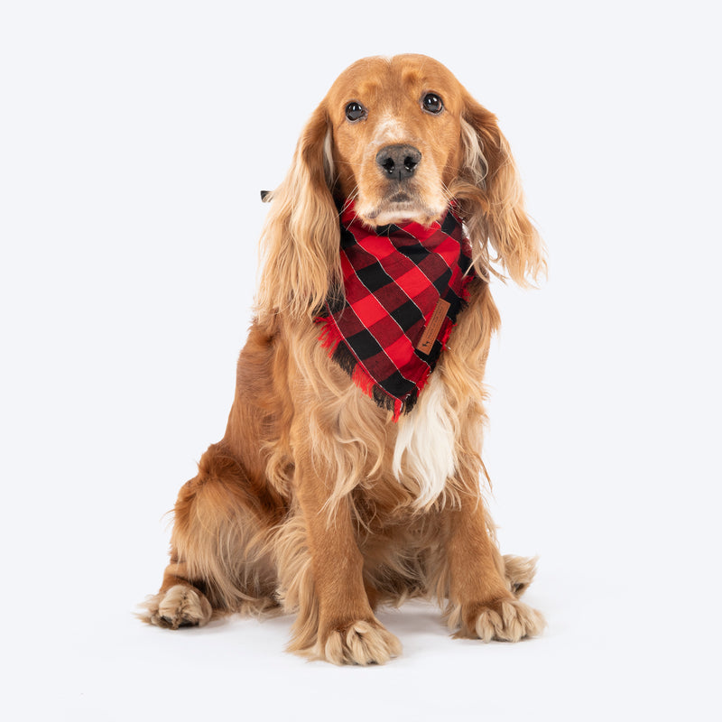 HUFT Holly Jolly Bandana For Dog - Red & Black - Heads Up For Tails