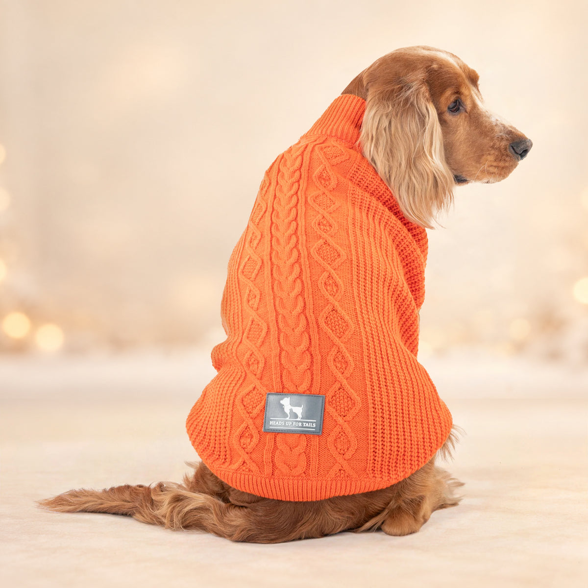 HUFT Winter Spice Sweater For Dog - Orange