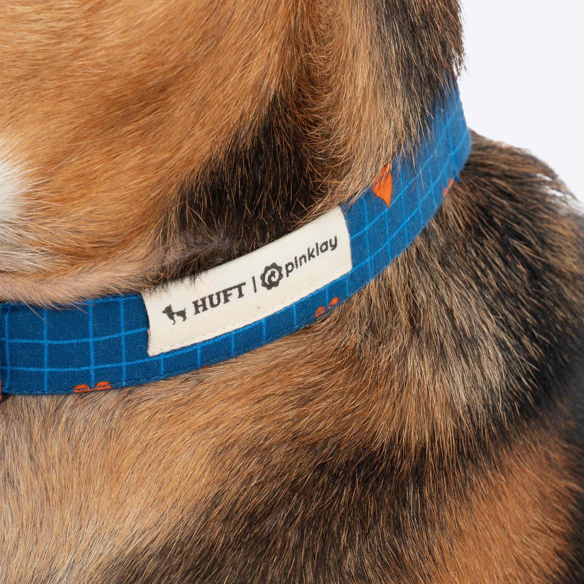 HUFT X Pinklay Hearts In Bloom Bow Tie With Strap For Dog - Blue & Orange - Heads Up For Tails
