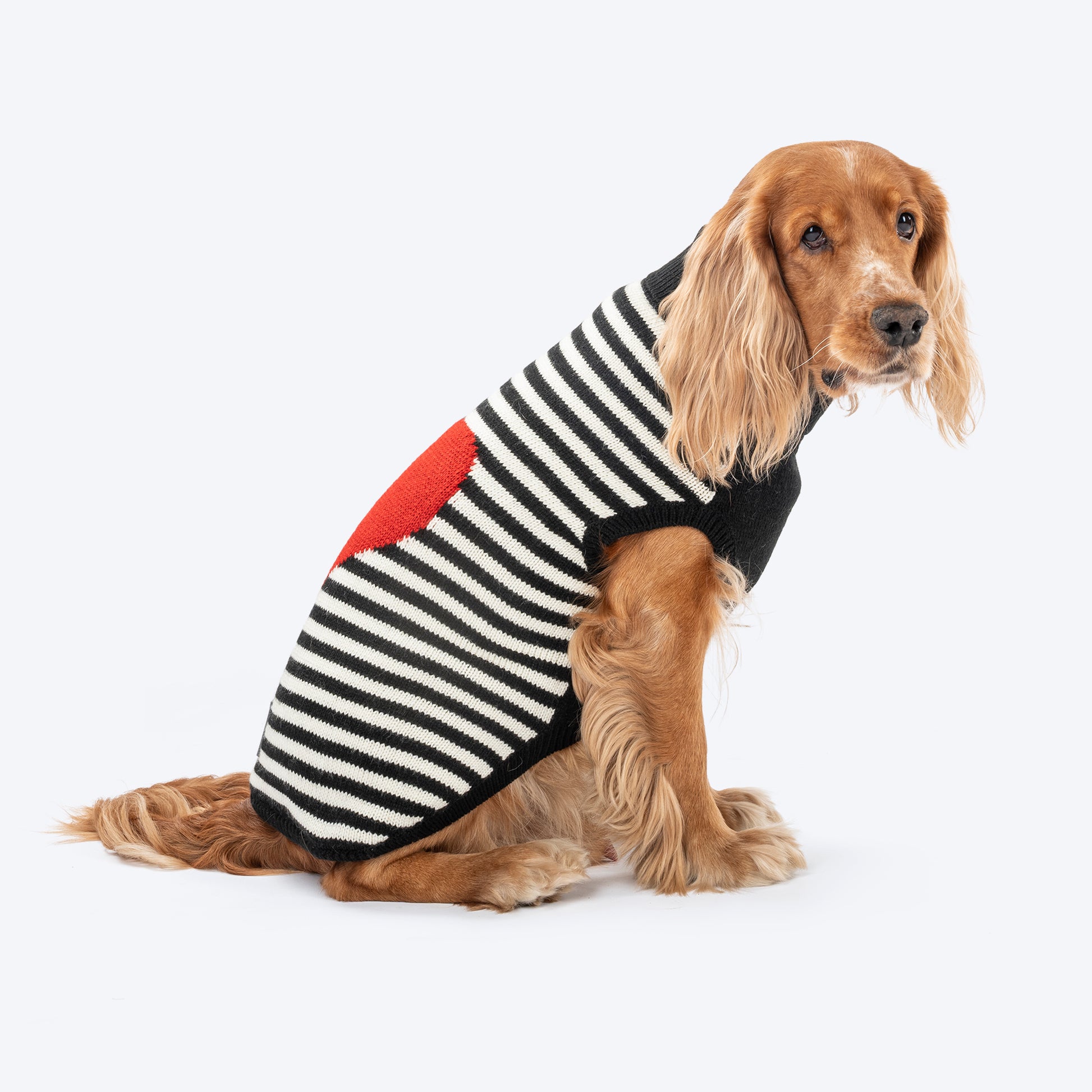 HUFT Sweetheart Stripe Sweater For Dog - Black & White - Heads Up For Tails